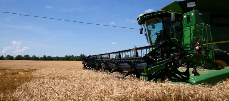 * Las presiones inflacionarias ayudaron a elevar los precios de los cereales, dijo Gerlach, que...