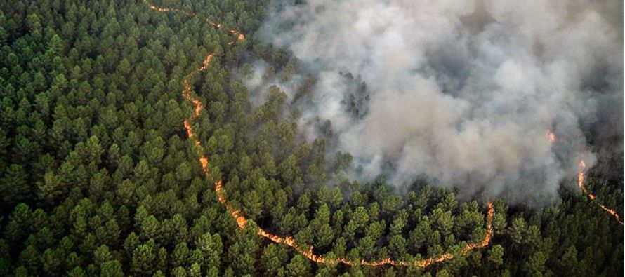 Un gran incendio forestal que arrasó con bosques de pino en una zona turística del...
