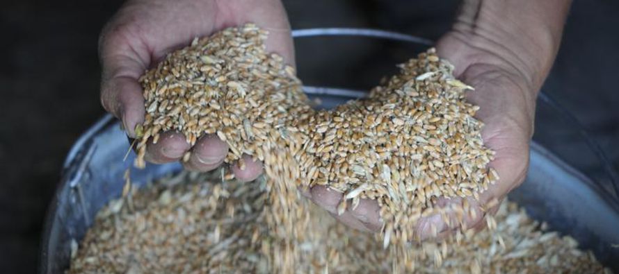 Estados Unidos comprará unas 150,000 toneladas métricas de granos de Ucrania en las...