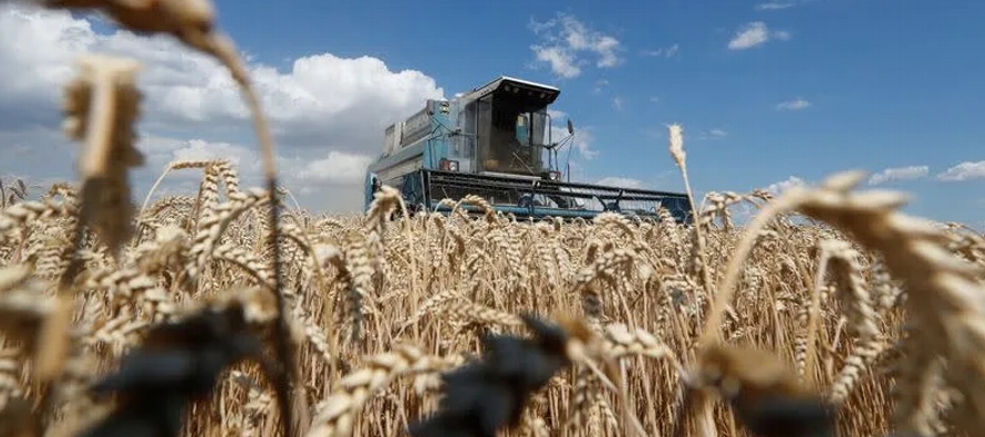 Ucrania cosechó en 2021 la cifra récord de 86 millones de toneladas de grano, lo que...