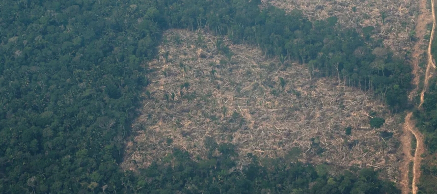 La deforestación de agosto es la segunda mayor de la serie histórica iniciada en...