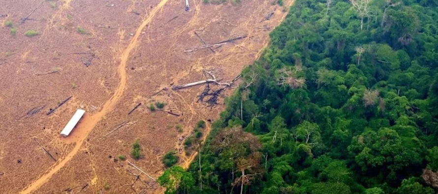 El estudio que reúne a expertos mundiales en deforestación, señala que detener...