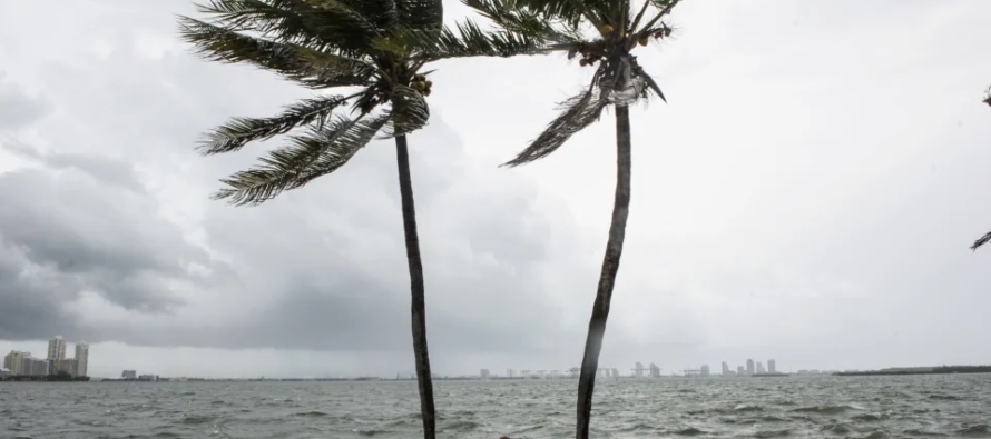 Los vientos con fuerza de tormenta tropical se extienden hasta 125 millas (205 km) desde el centro...