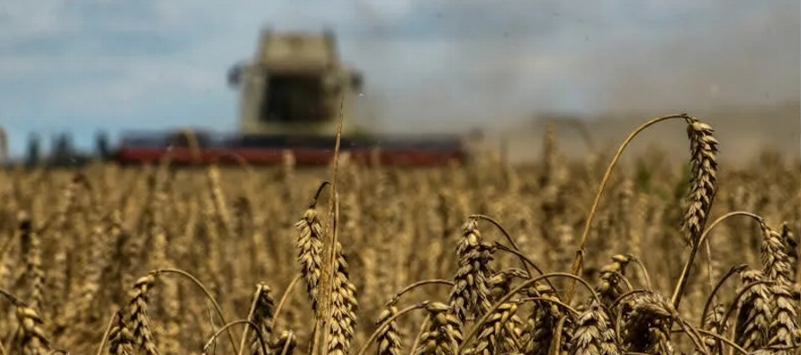 La subasta incluirá trigo de la cosecha de 2014 que se ofrecerá a 2.410 yuanes...