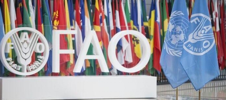 Durante la 27 edición de la COP, la FAO pretende promover una comprensión compartida...