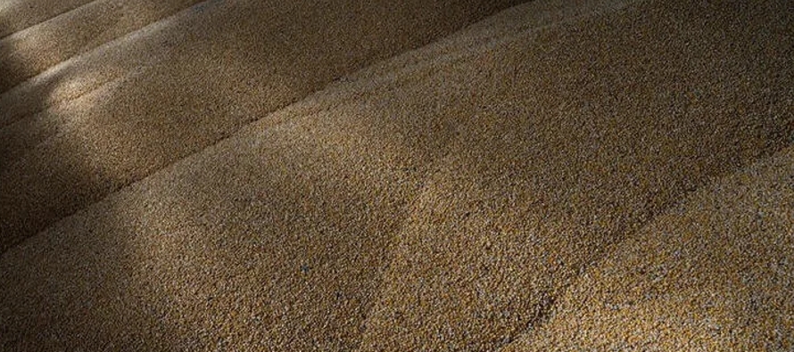 Según el acuerdo del 22 de julio, Ucrania pudo reiniciar sus exportaciones de granos y...