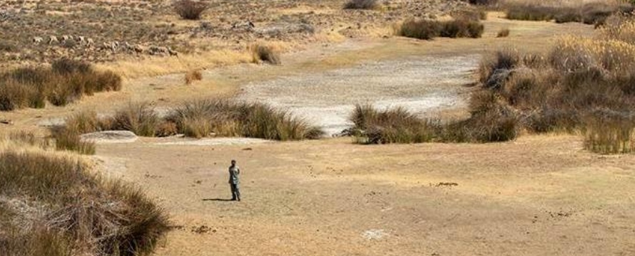 Innovación, el llamado para dotar de agua a zonas rurales de México