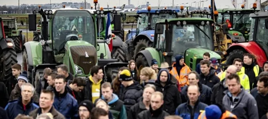 La ganadería es uno de los principales emisores de gases de efecto invernadero en Holanda,...