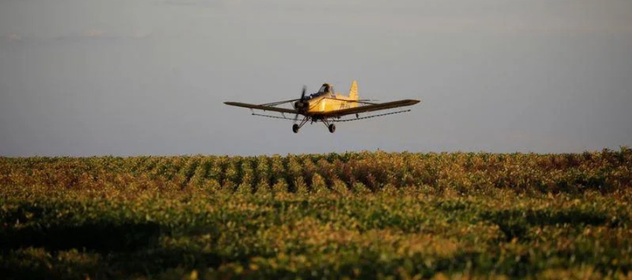 La decisión obligó a los agricultores a buscar herbicidas similares en el mercado,...