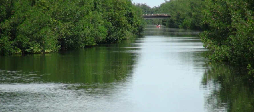 "Los Everglades son un ecosistema hermoso y delicado que sirve como fuente de agua potable...
