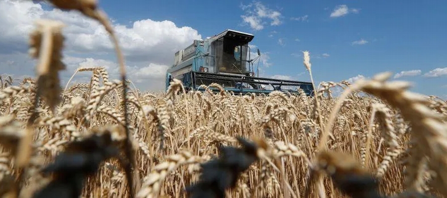 El total incluyó 17 millones de toneladas de trigo, 5,5 millones de toneladas de cebada y...