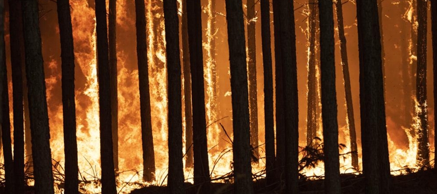 Las llamas consumían alrededor de 30,000 hectáreas diarias, según los...