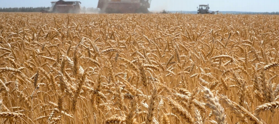 En Europa, el precio del trigo se ha disparado desde el inicio del conflicto, alcanzando el lunes...