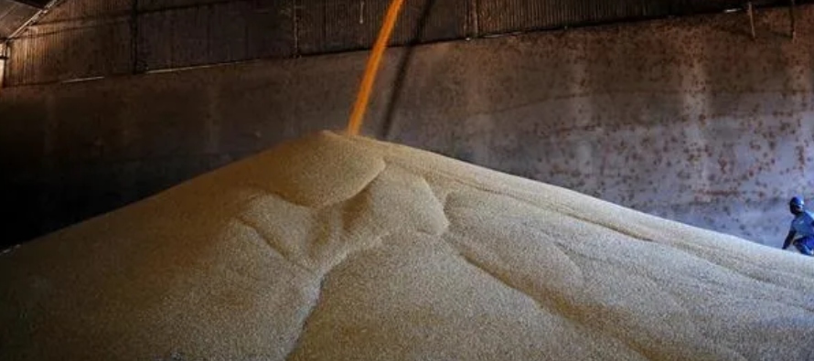 El aumento será impulsado por el incremento de la producción de maíz de...