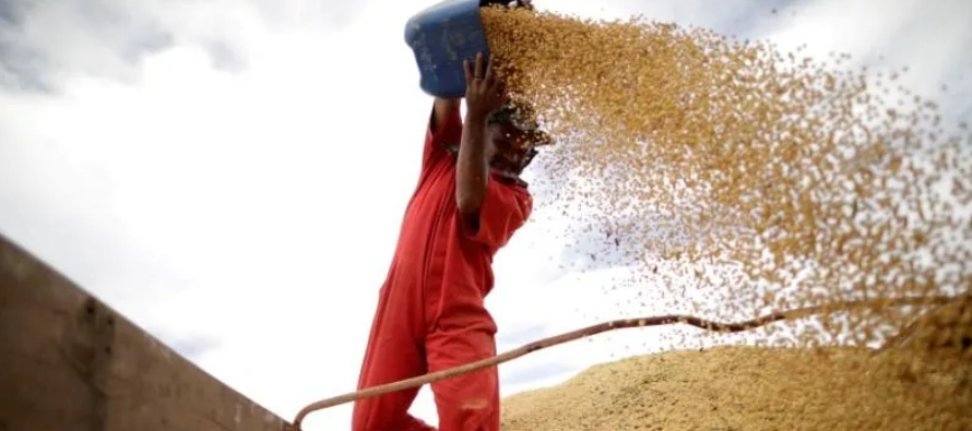 Itau BBA proyectó que la producción de soja en el mayor proveedor del mundo de la...