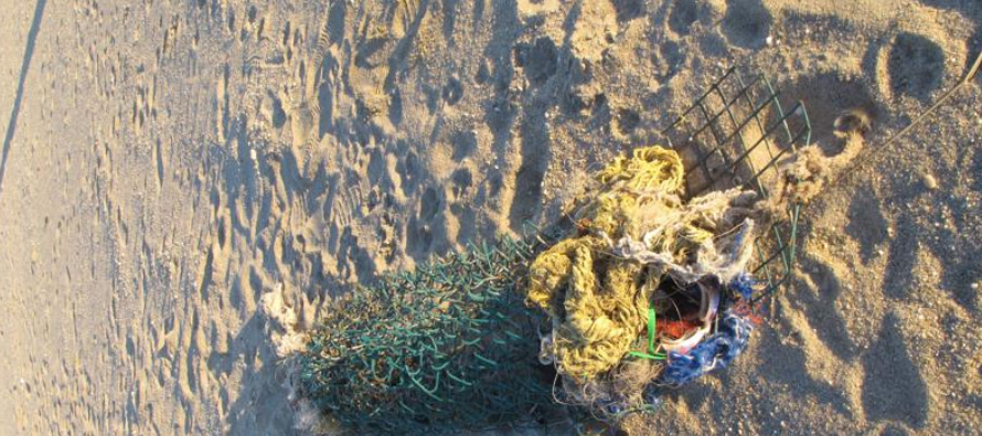 Voluntarios recogieron una cantidad récord de basura de las playas de Nueva Jersey el...