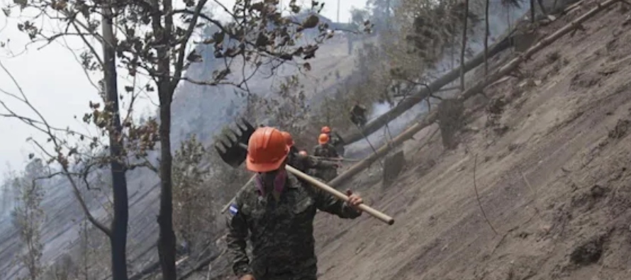 Entre 2020 y 2021, Guatemala registró 350 incendios forestales, los cuales afectaron...