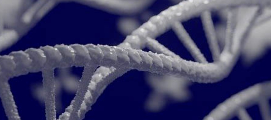 Es posible, por ejemplo, que un ADN “sano” no pueda ser leído correctamente...
