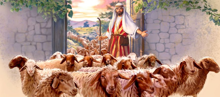 «En verdad, en verdad os digo: yo soy la puerta de las ovejas. Todos los que han venido...