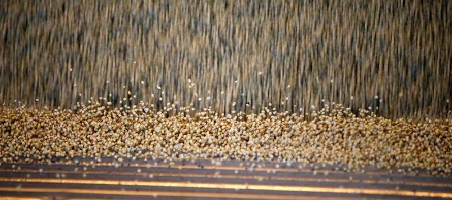 Una cosecha récord de soja en Estados Unidos aliviará en parte la escasez mundial de...