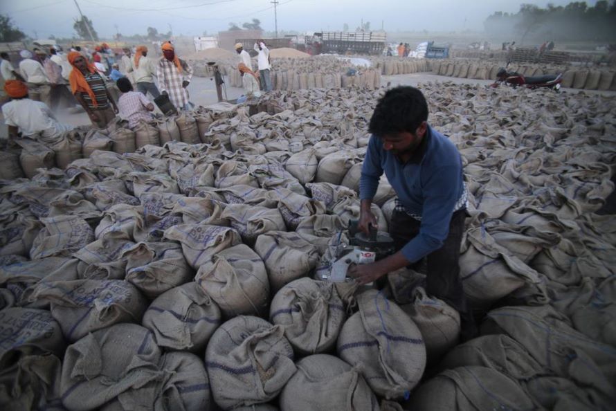 India prohibió la exportación de trigo con efecto inmediato por riesgos para su...