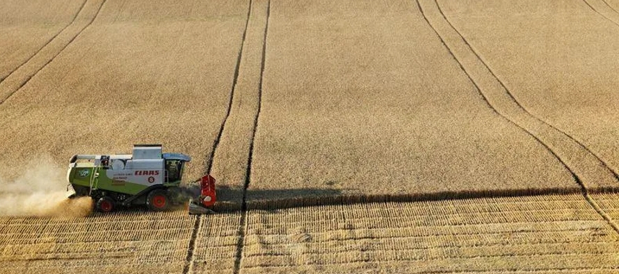 Se espera que Rusia coseche 130 millones de toneladas de grano en 2022, de ellas 87 millones de...