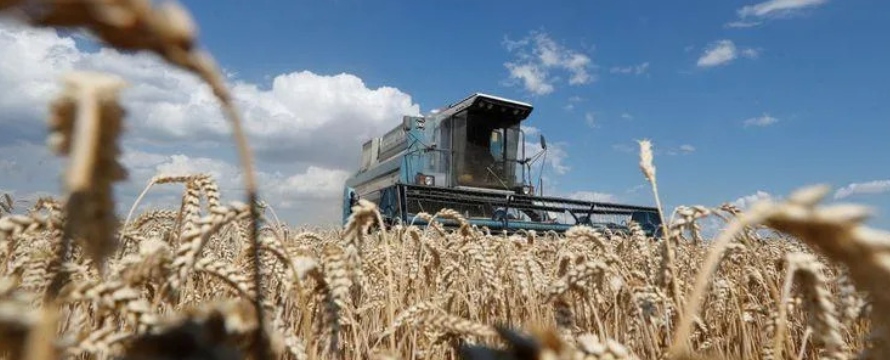 Cuando el bloqueo de los cereales ucranianos hace temer crisis alimentarias en el mundo, los...