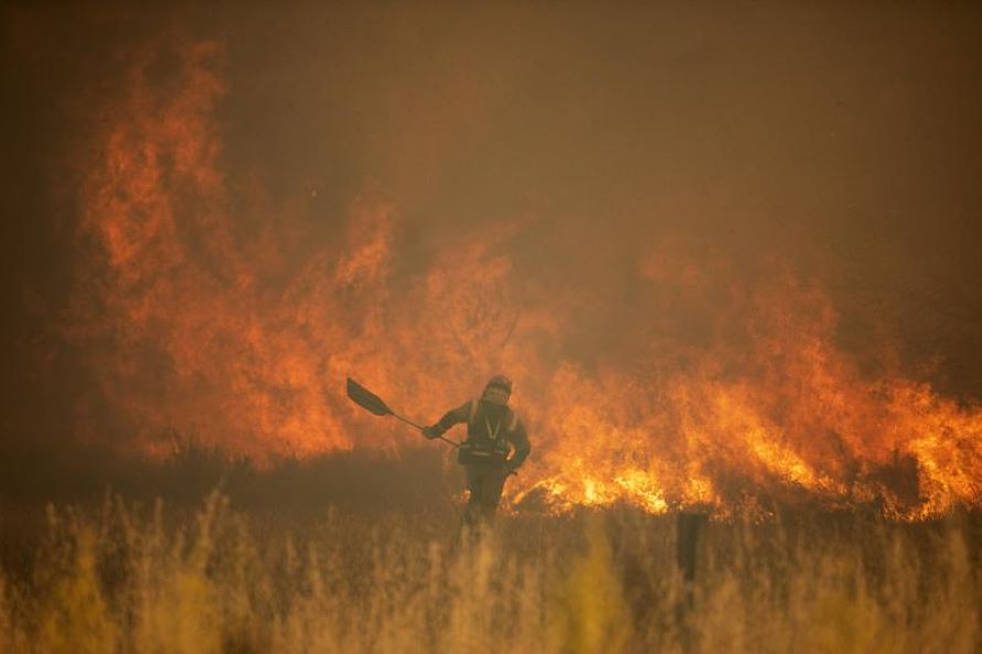 Los bomberos en España y Alemania buscaban el domingo contener los incendios forestales en...
