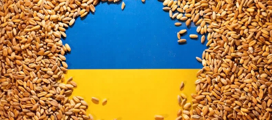 Las exportaciones de grano de Ucrania, uno de los principales productores y exportadores del...