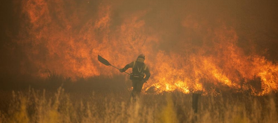 Los incendios en España han destruido decenas de miles de hectáreas de bosques,...