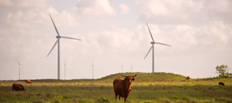 Los mínimos actuales de las turbinas de Texas también apuntan a una...