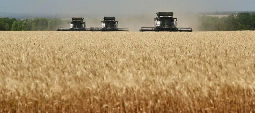 Los precios rusos del trigo con un contenido de proteína del 12,5% y para el suministro...