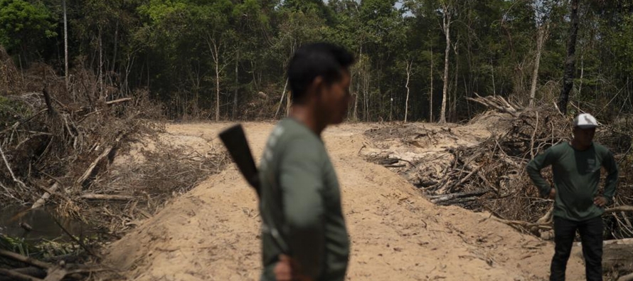 La destrucción ocurrió en bosques federales y estatales “sin asignar”, lo...