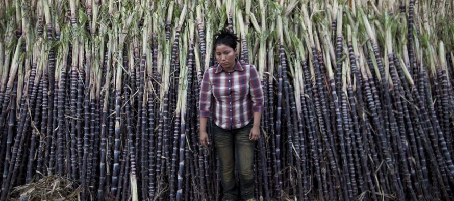 El año pasado, Nicaragua exportó azúcar por valor de 83,5 millones de...