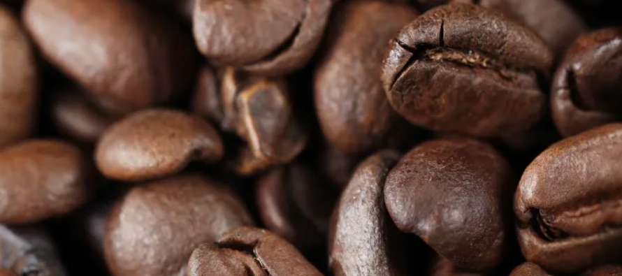 En el año cafetero las exportaciones casi llegan a los 10,2 millones de sacos, un 4 % menos...