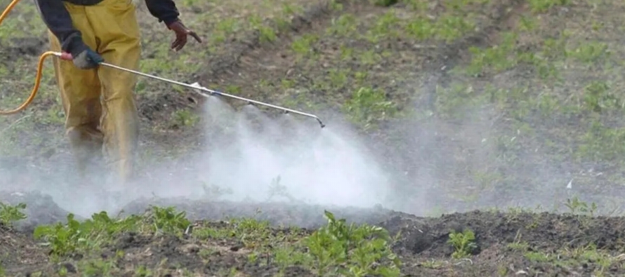 Un estudio toxicológico sobre pesticidas y encontró que dieciséis compuestos...