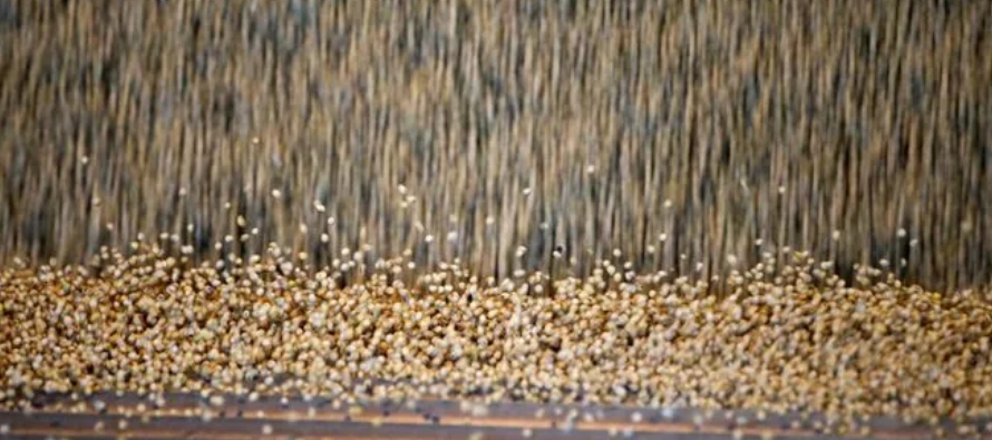* Un informe esta semana fijó extraoficialmente la cosecha de soja en 36 millones de...