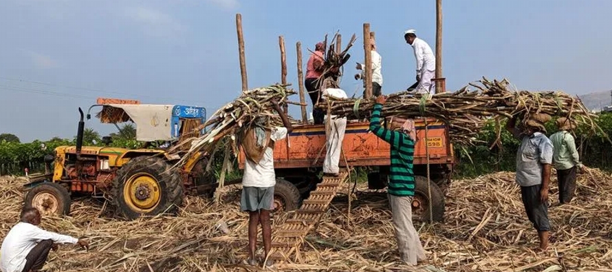 Las fábricas de azúcar de Maharashtra y la vecina Karnataka empezaron a sufrir...