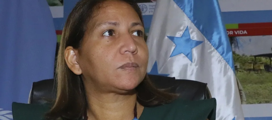 La FAO apoya a Honduras en la promoción de huertos escolares, como una herramienta...