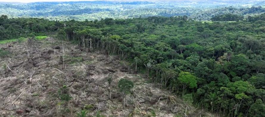 El presidente Luiz Inácio Lula da Silva se comprometió a poner fin a la tala ilegal...