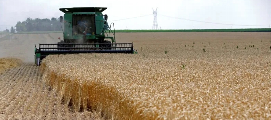 Según los analistas, el trigo de primavera se benefició de las especulaciones sobre...