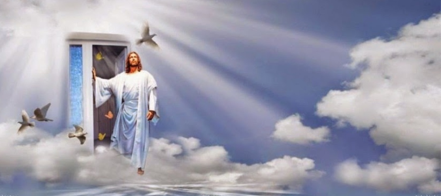 «El Padre ama al Hijo y ha puesto todo en su mano. El que cree en el Hijo tiene vida eterna;...