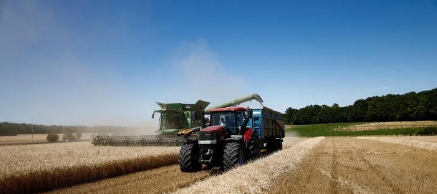 La afluencia de grano procedente de Ucrania, devastada por la guerra, ha provocado las protestas de...