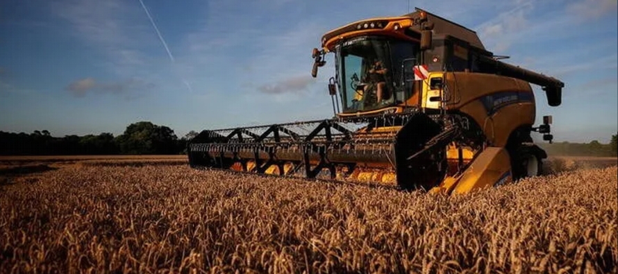 La Comisión elevó su previsión de existencias de trigo blando de la UE al...