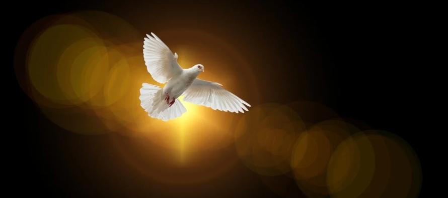Decir “creo en el Espíritu Santo” es profesar que el Espíritu Santo es...
