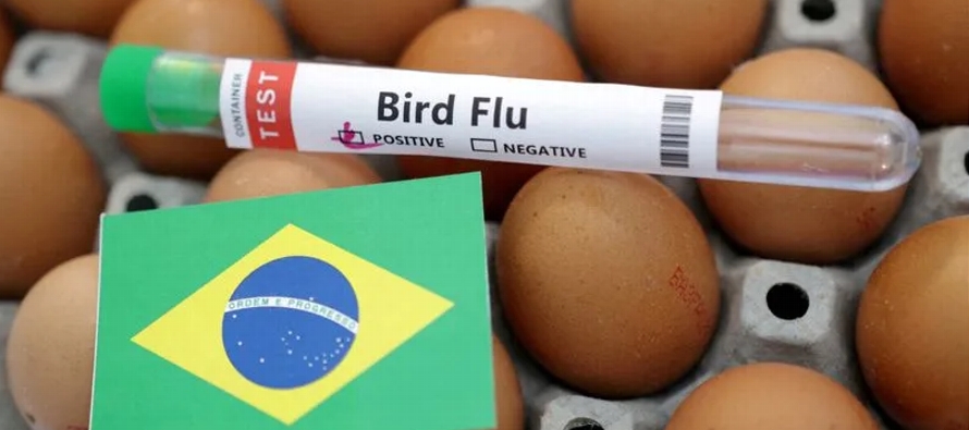 El exportador de aves de corral más grande del mundo ha confirmado cinco casos de influenza...