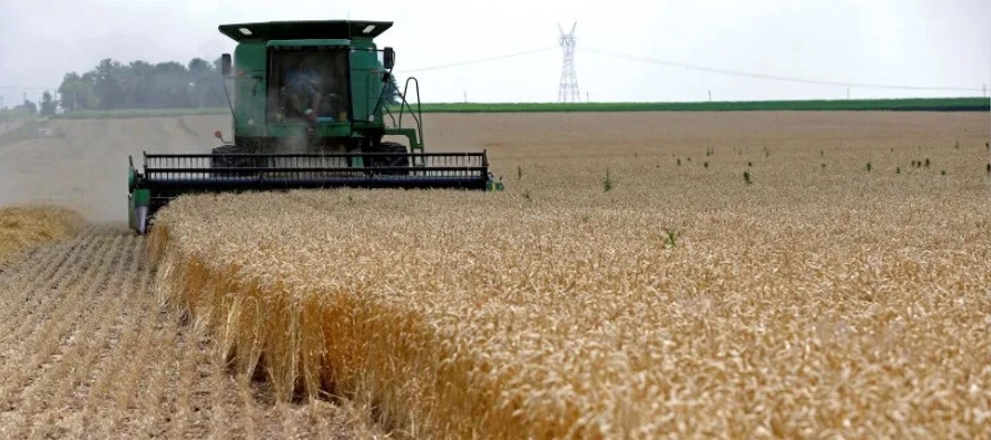 Las ganancias en el trigo prestaron apoyo a los futuros del maíz, mientras que la soja...