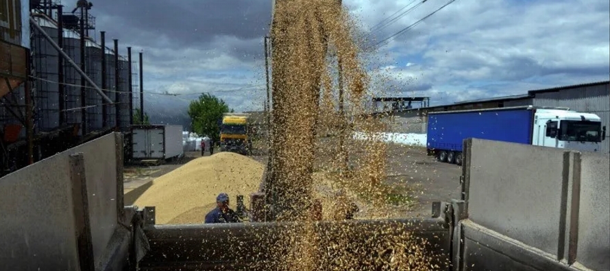 La cartera dijo que la superficie total de siembra de granos de primavera podría reducirse a...