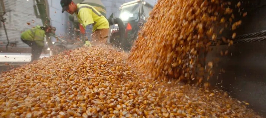 Una enorme cosecha en Brasil ha reducido la demanda exterior del maíz y la soja...