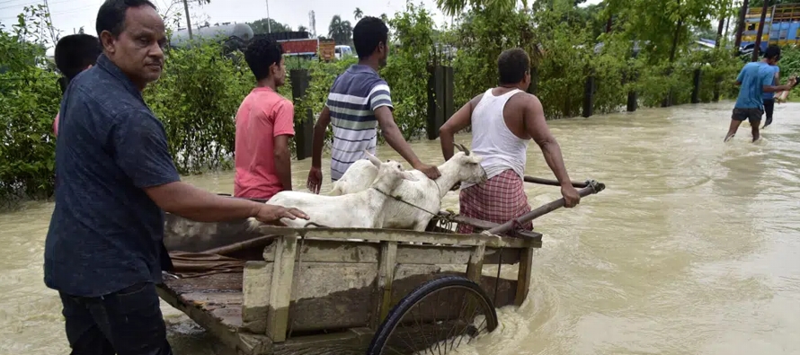 El estado de Assam está en alerta roja y se prepara para los aguaceros previstos para el fin...